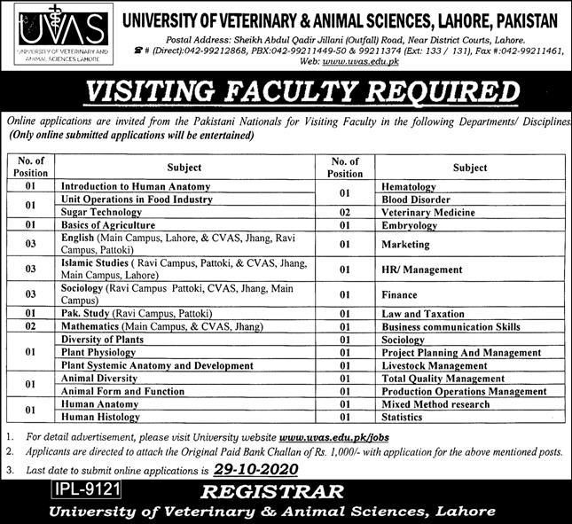 UVAS Lahore Faculty Jobs 2020 - University of Veterinary and Animal Sciences