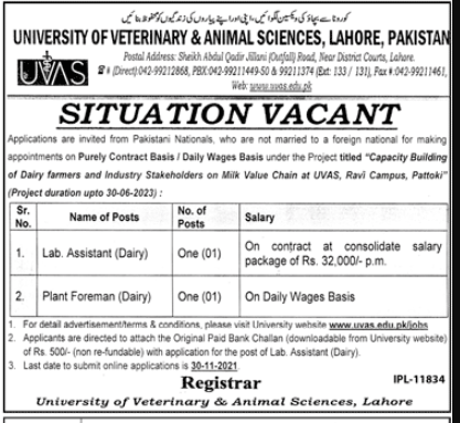 University of Veterinary & Animal Sciences Lahore Jobs November 2021