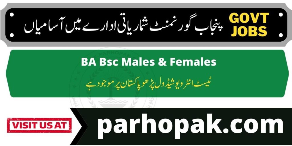 Bureau of Statistics Punjab Jobs for BA BSC Males and Females
