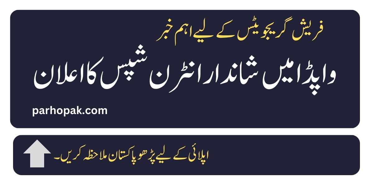 WAPDA Paid Internship Program 2024 Apply Online