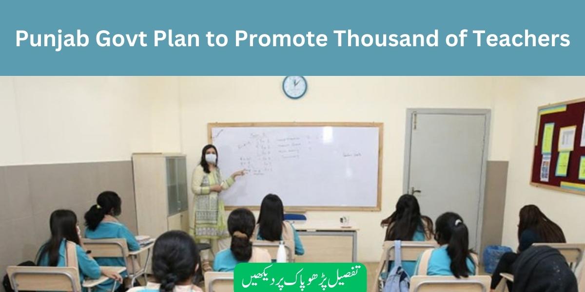 Punjab Education Department Promotes Thousand of Teachers May 2023
