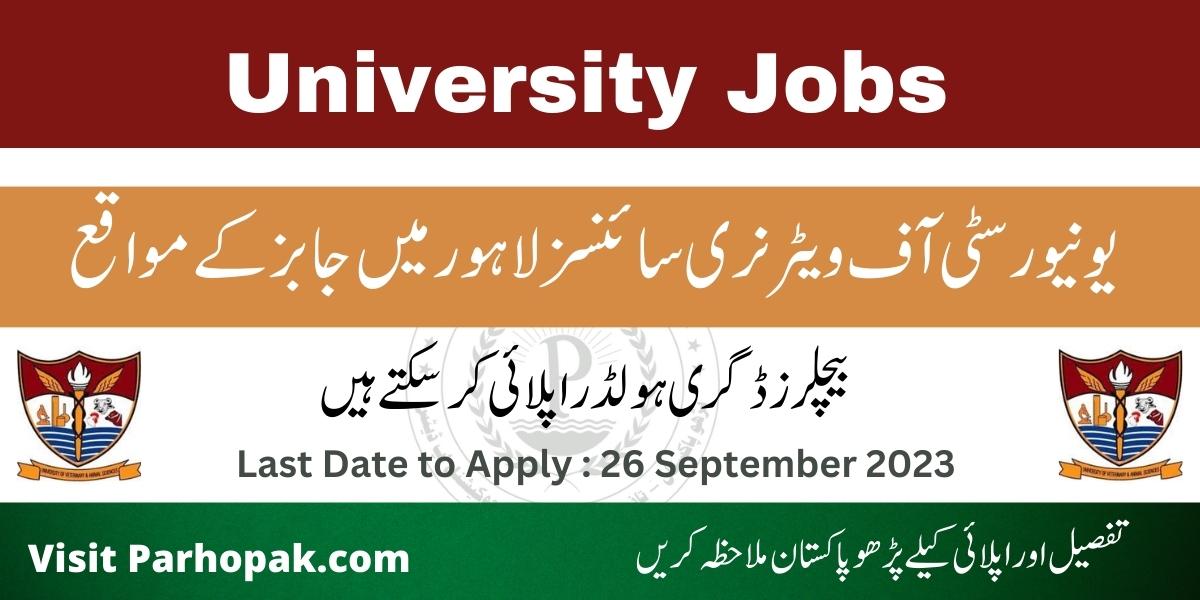 University of Veterinary and Animal Sciences UVAS Lahore September Jobs 2023