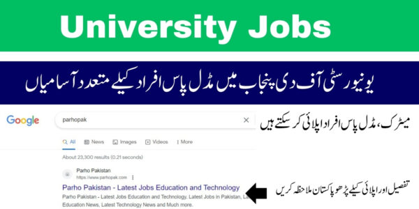 University of the Punjab Driver Jobs